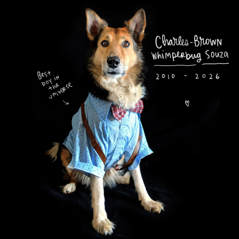 Charlie: A dog I never met but loved so much 