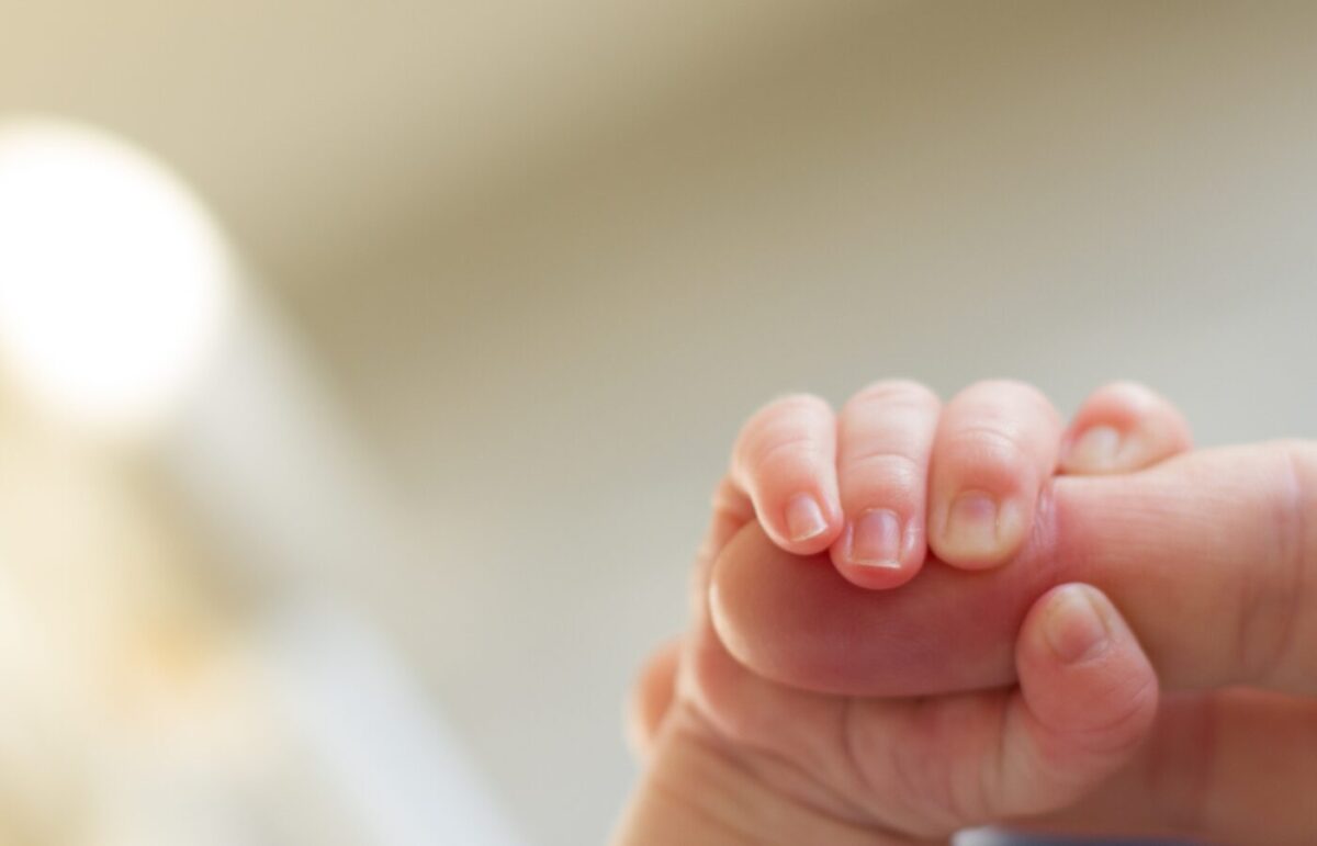 Decoding pregnancy: A journey through three trimesters