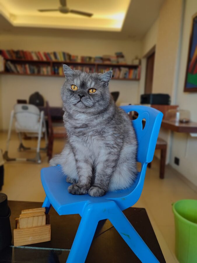 The weight of an empty room