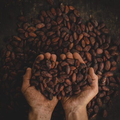 Cacao beans