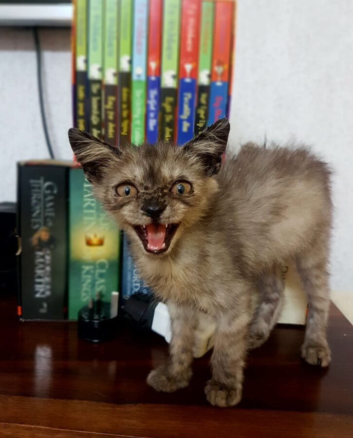 The weight of an empty room