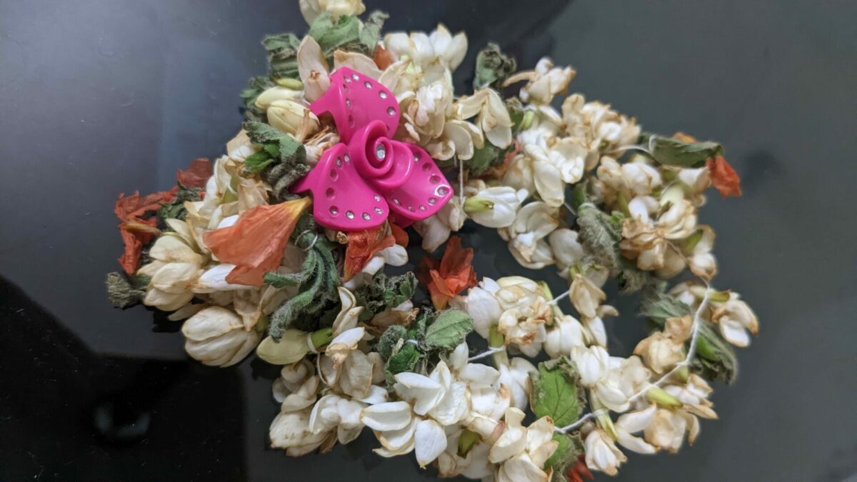 My Vipassana journey: Recovering from anxiety, attachment, and delusion