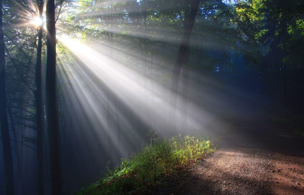 A scarred child, a scarred adult